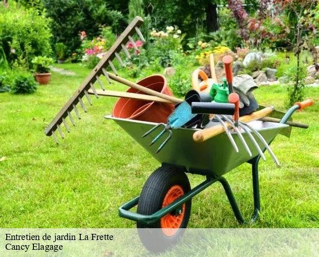 Entretien de jardin la-frette-71440 Cancy Elagage