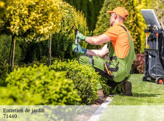 Entretien de jardin la-frette-71440 Cancy Elagage