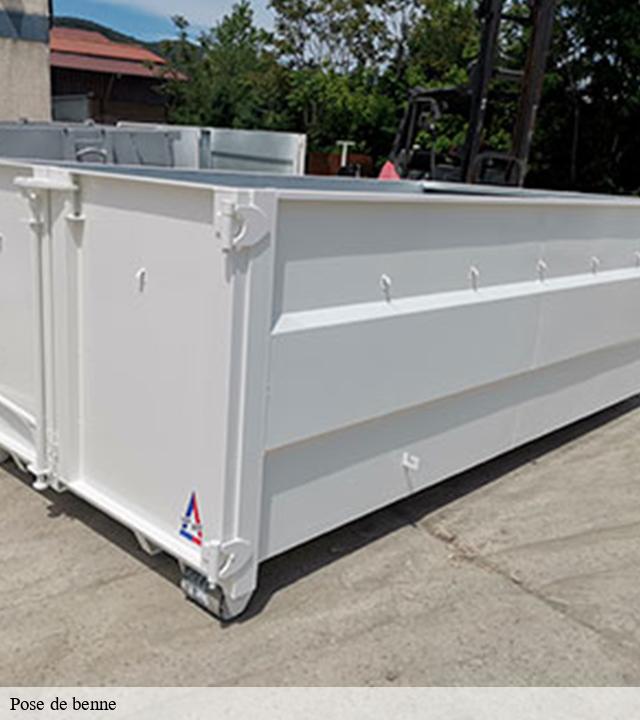 Pose de benne sassangy-71390 Cancy Elagage